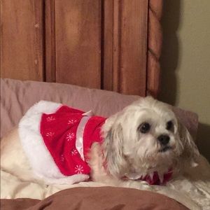 Meet your Posher, Daryl